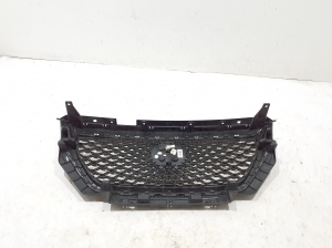 MG, ZS II (2017–2026) Front grille 10021164 - 5