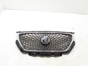 Front grille - 10021164