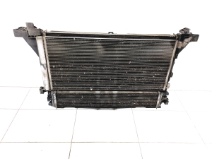   Motorkühler  - 214005447R 
