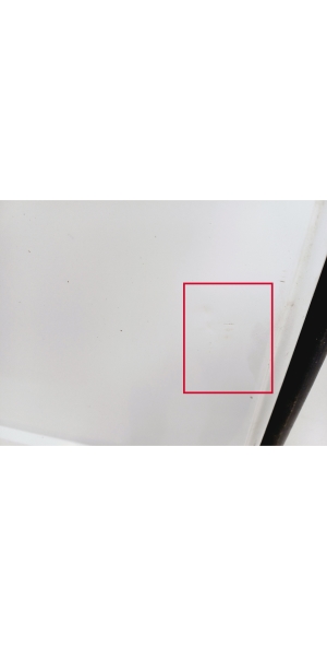 RENAULT Master III (2010–2017) Rear cargo door - 3
