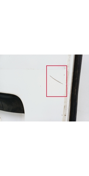 RENAULT Master III (2010–2017) Rear cargo door - 4