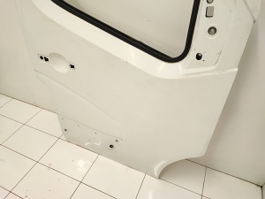 RENAULT Master III (2010–2017) Front door - 5
