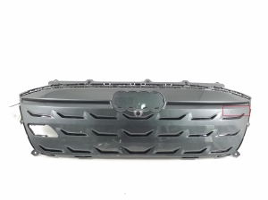 Kühlergrill - 85E853653B