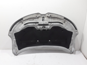 RENAULT Koleos (2016–2026) Hood 651003848R - 2