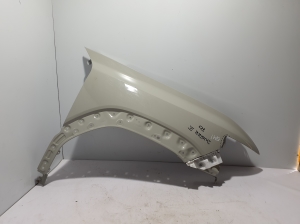 Vorderer Kotflügel - 631225655R