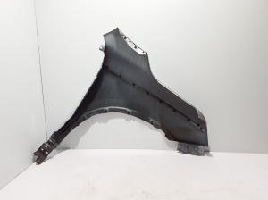 RENAULT Koleos (2016–2026) Front fender 631014905R - 3
