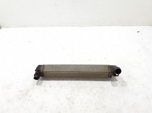 RENAULT Megane III (2008–2016) Vahejahuti radiaator 144961285R - 2