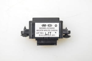 Autre capteur - 95580G3000