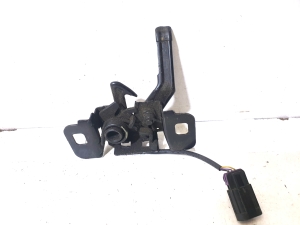 Opel Insignia (2008–2017) Kapoti lukk 22788572 - 3