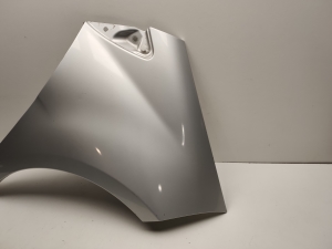 Mercedes Benz A-Class 169 (2004–2012) Front fender A1698810201 - 3