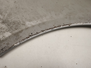 Mercedes Benz A-Class 169 (2004–2012) Front fender A1698810201 - 4