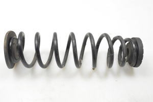 Rear spring