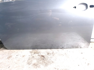 NISSAN Primera P12 (2001–2008) Front door - 2