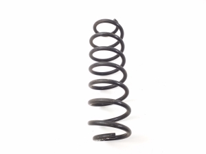 Rear spring