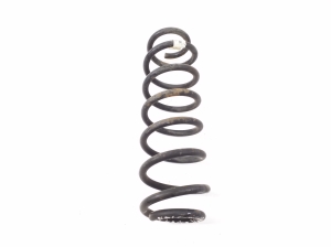 Volkswagen Golf VII (2012–2026) Rear spring - 2