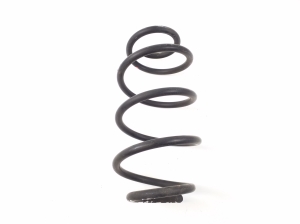 Rear spring
