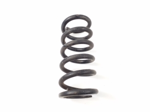 Rear spring - 