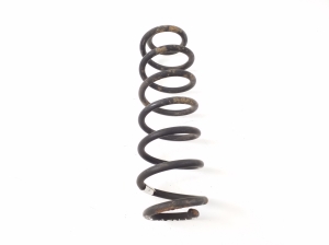 Volkswagen Golf VII (2012–2026) Rear spring - 2