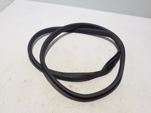   Rear side door seal on the door  - 769235234R 