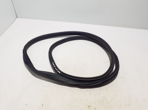   Rear side door seal on the door  - 769235234R 