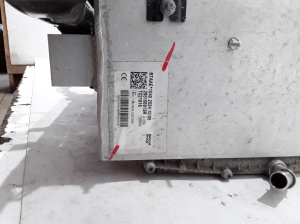 Dacia Duster P1310 (2024–2026) Batterie 295106913R - 2