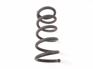 Rear spring