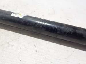 Dacia Duster P1310 (2024–2026) Stoßdämpfer hinten 562103986R - 2
