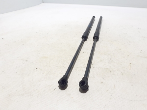 Dacia Duster P1310 (2024–2026) Hood prop/gas strut 654702017R - 2