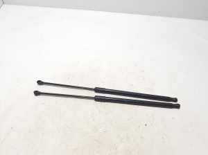   Hood prop/gas strut  - 654702017R 