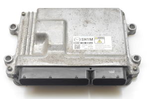 Engine control unit