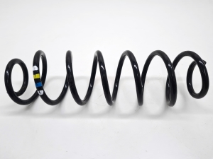 Rear spring