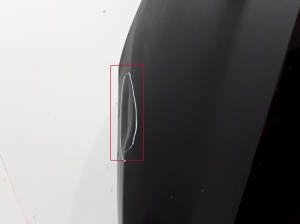 RENAULT Arkana (2019–2026) Motorhaube 651001544R - 4