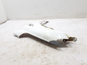 RENAULT Arkana (2019–2026) Front fender 631017236R - 2