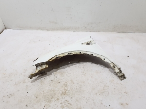 RENAULT Arkana (2019–2026) Front fender 631017236R - 3