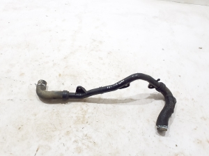  Radiator hose  - 215034996R 