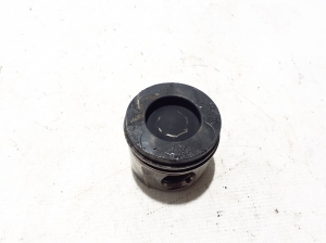 Kolben und seine Teile - 120A10010R