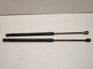   Trunk lid strut  - A2469800164 