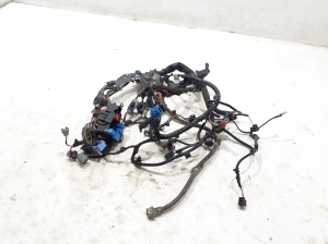   Motor Kabelbaum 