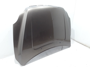 Motorhaube - 30796491