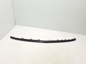 Front bumper trim strip - A1778854402