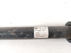 Tesla Model 3 3 (2016–2024) Tagumine amortisaator 104446101E - 2