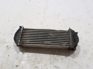 Mercedes Benz Citan 415 (2012–2021) Intercooler 144961489R - 2
