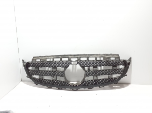 Front grille - A2138880223