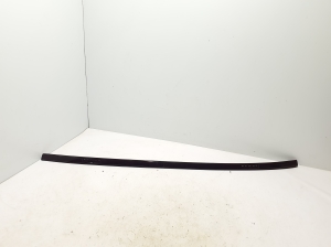 Dachleiste - A2146903704