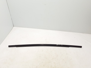 Fensterschachtleiste außen Tür hinten - LJ8BR25604AC