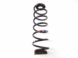 Rear spring