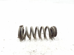 Ford Mustang Mach-E Mach-E (2020–2026) Rear spring LJ9C5560AND - 2