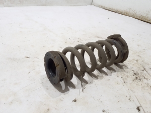 Ford Mustang Mach-E Mach-E (2020–2026) Rear spring LJ9C5560AND - 2