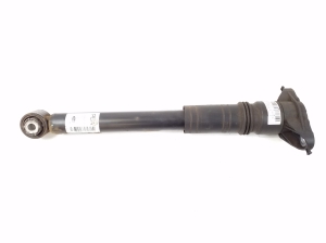   Rear shock absorber  - 9934826580 