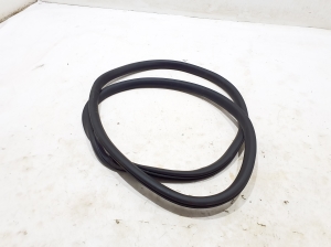   Rear side door seal on the door  - LJ8B-R20709-AC 